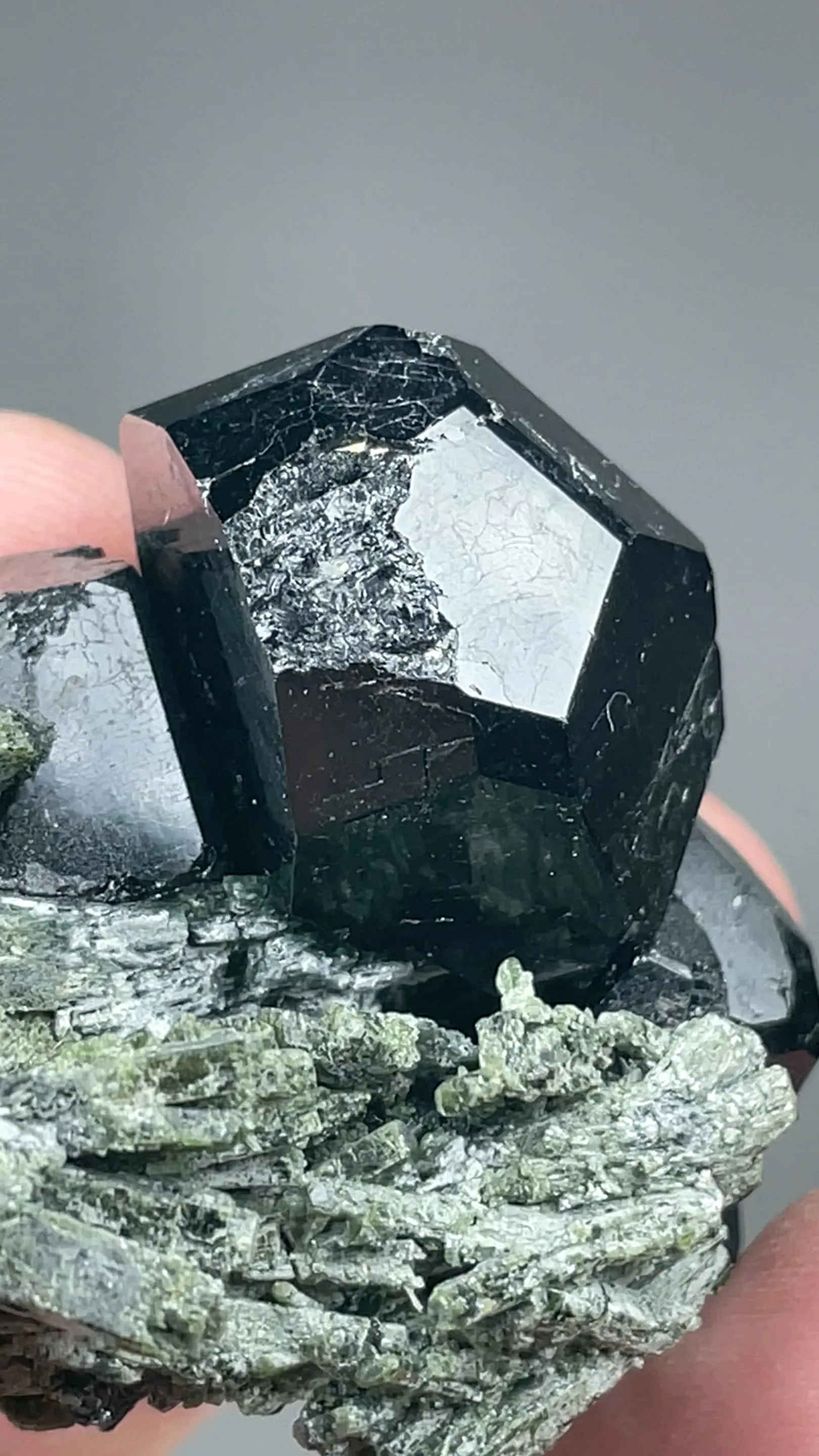 Dravite-Uvite with Actinolite - image 2