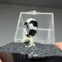 Dravite-Uvite with Tremolite - image 2