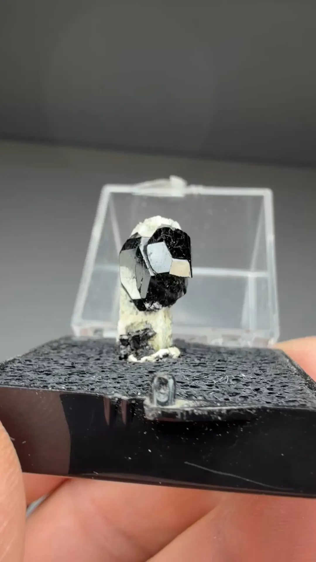 Dravite-Uvite with Tremolite - image 2