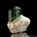 Dravite var. Chromian Dravite - image 3