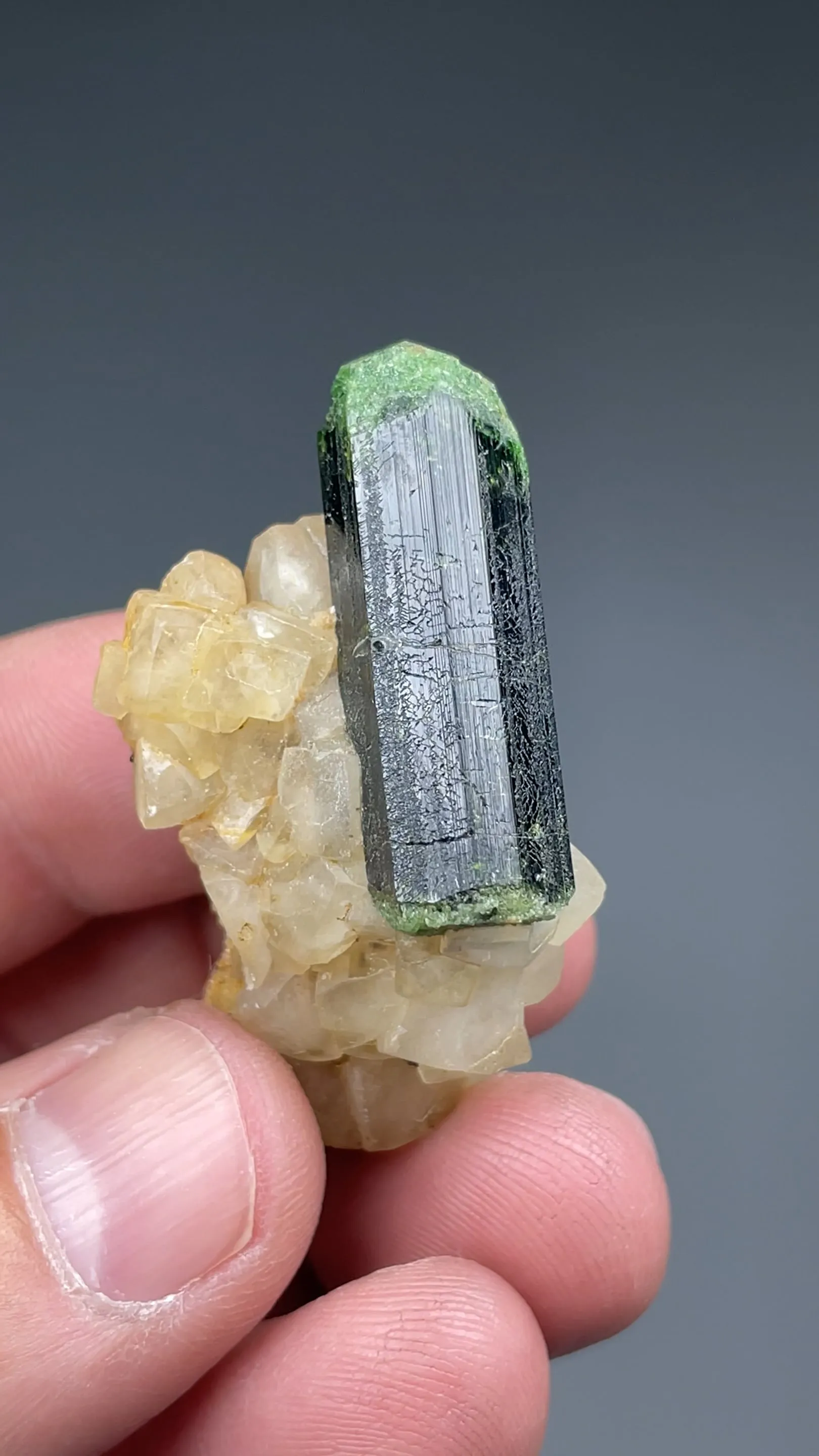 Dravite with Calcite - image 2