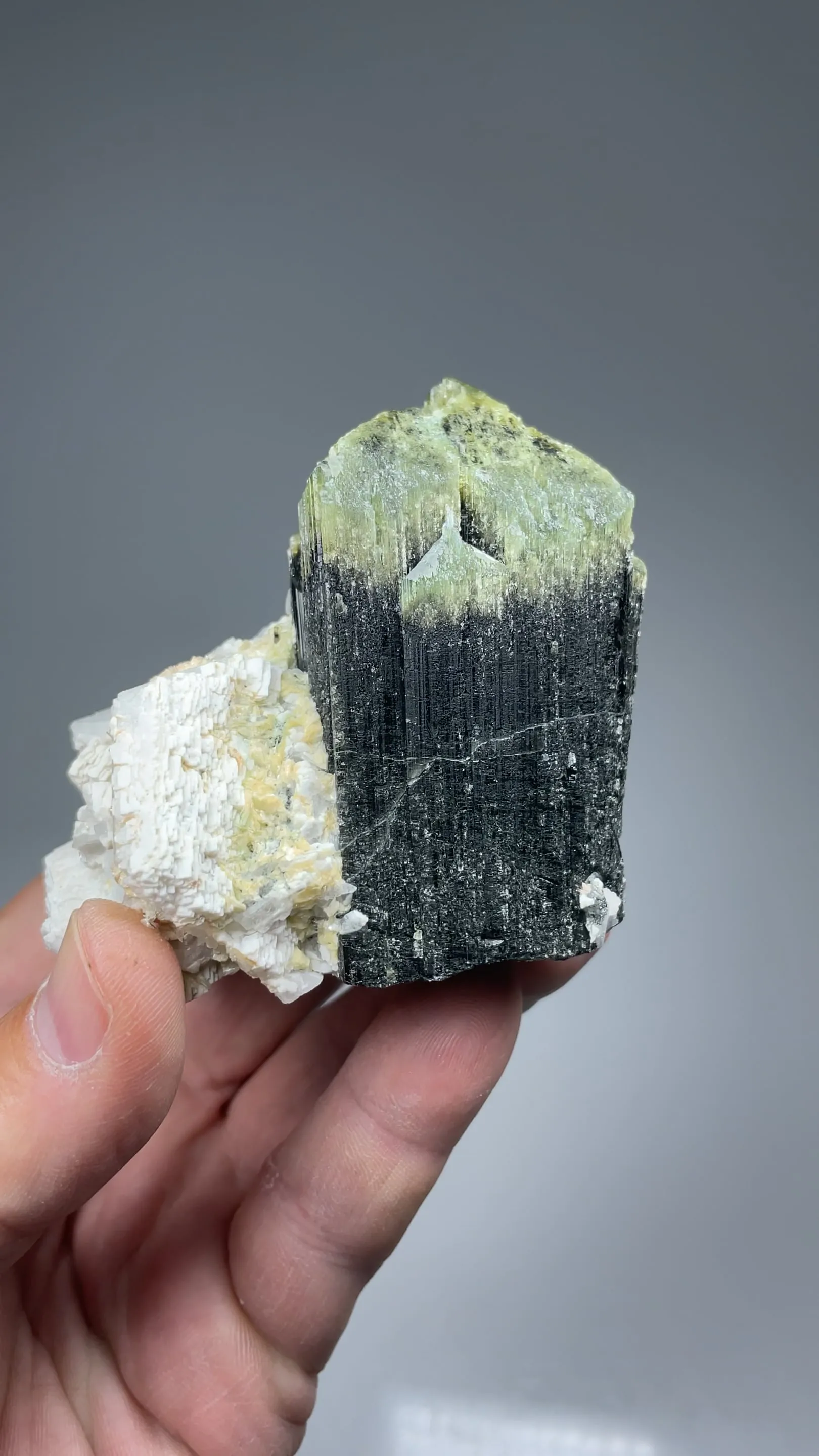 Dravite with Feldspar - image 2