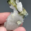 Dravite with Feldspar - image 2