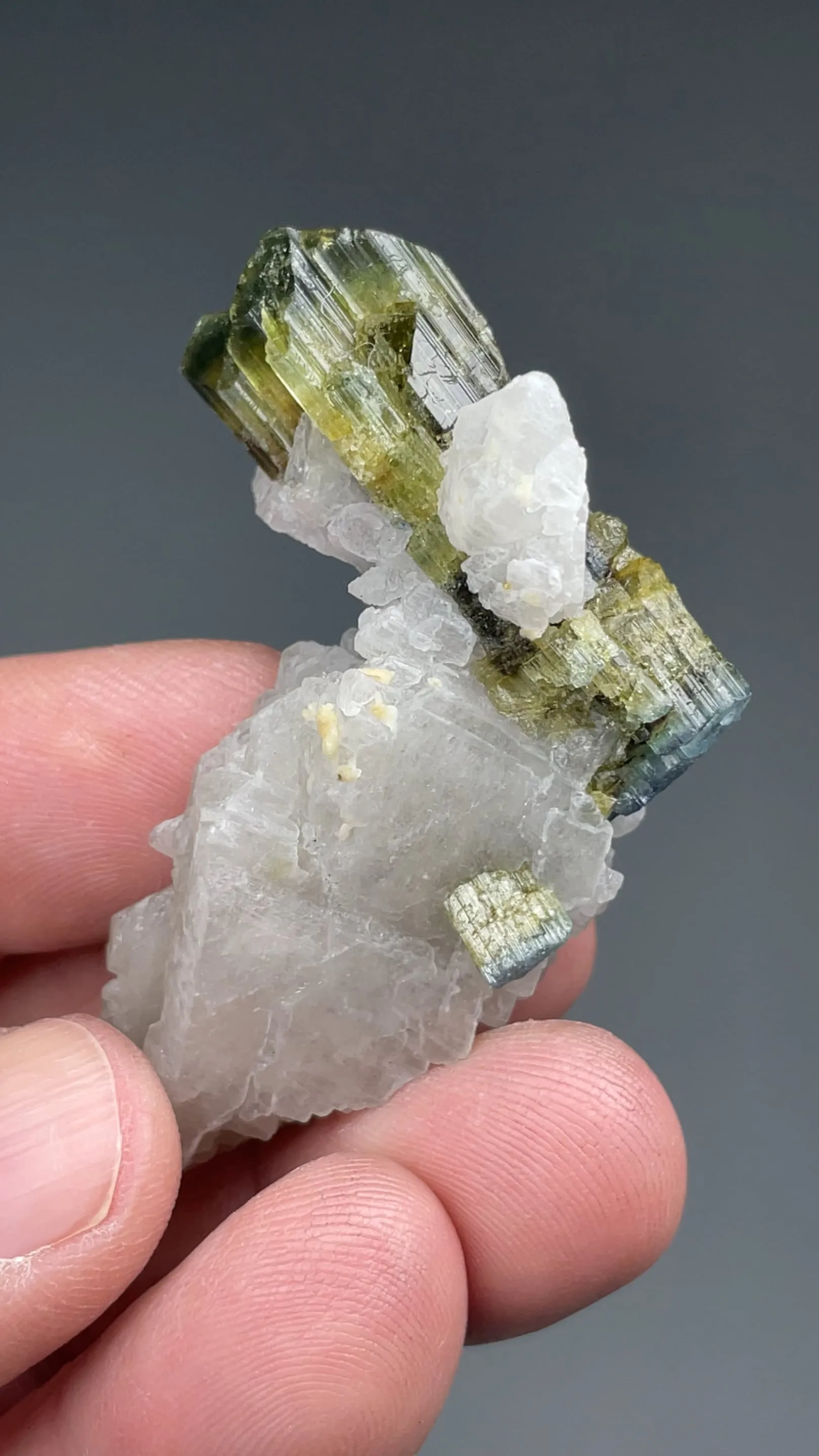 Dravite with Feldspar - image 2
