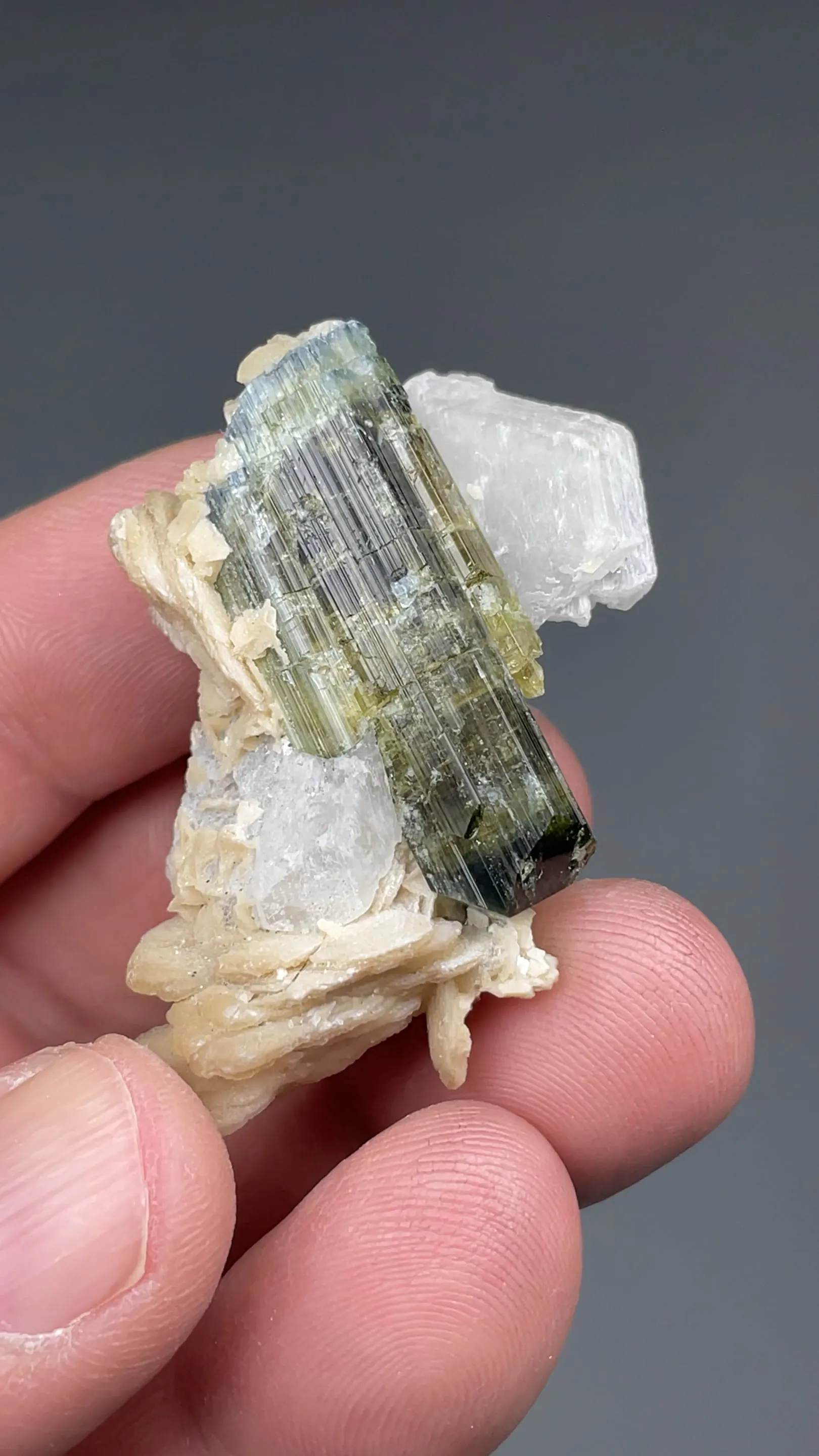 Dravite with Feldspar, Calcite - image 2