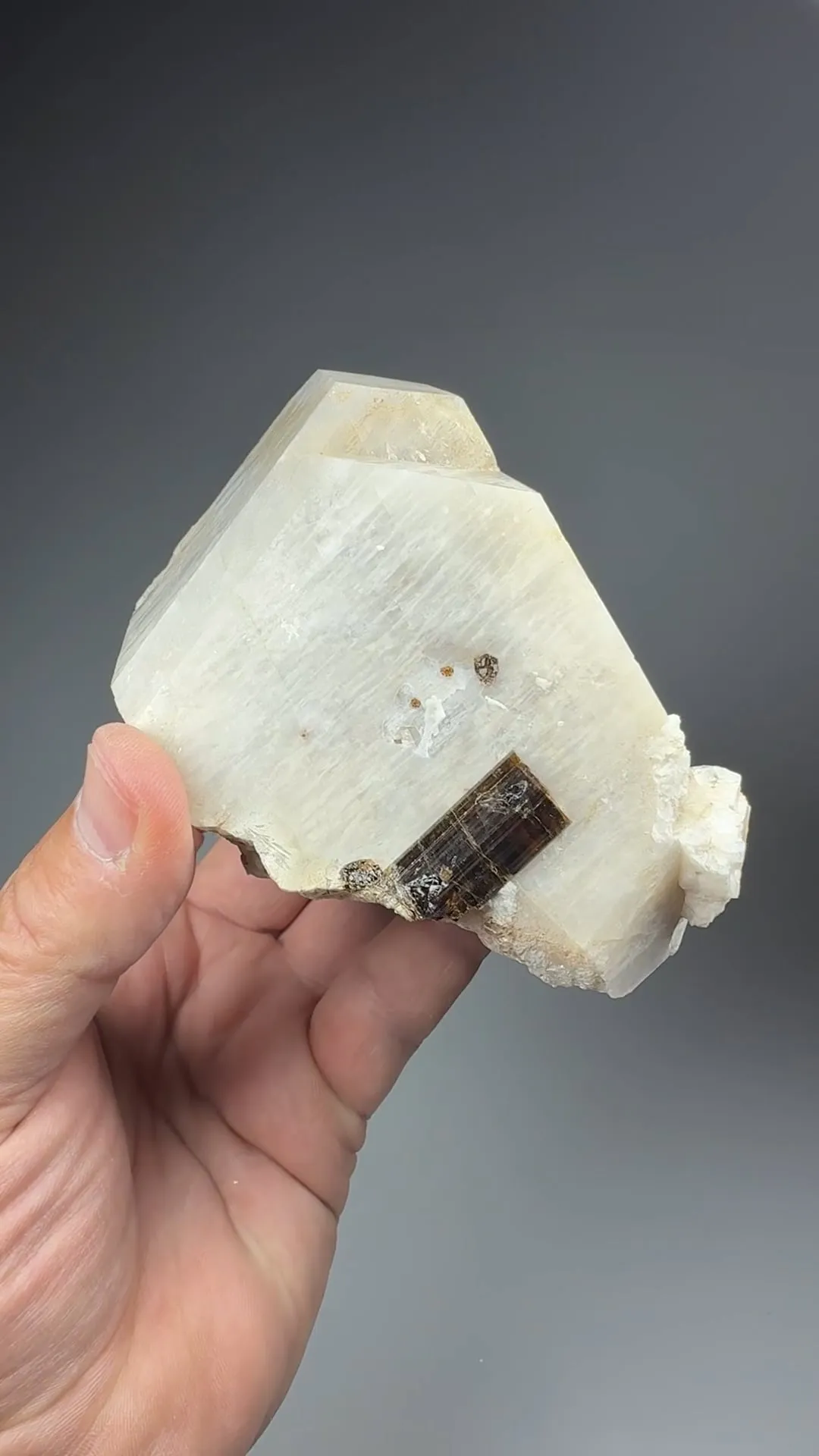 Dravite with Microcline - image 2