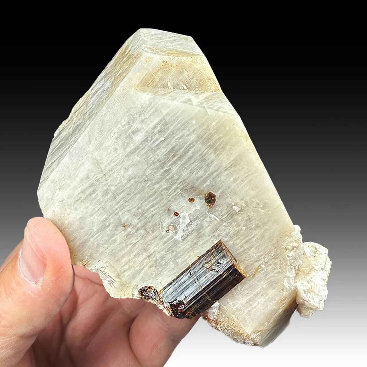 Dravite with Microcline - image 1