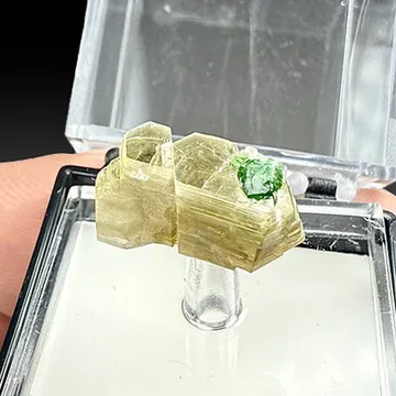 Dravite with Phlogopite