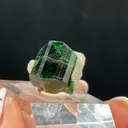 Dravite with Quartz - image 2