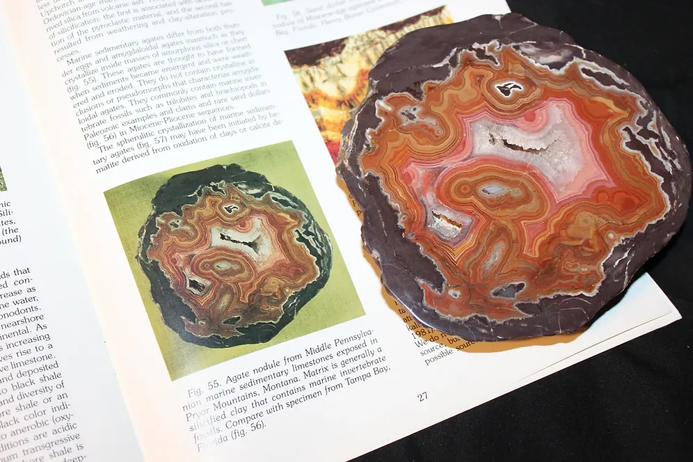 Dryhead Agate from USA, Montana - image 2