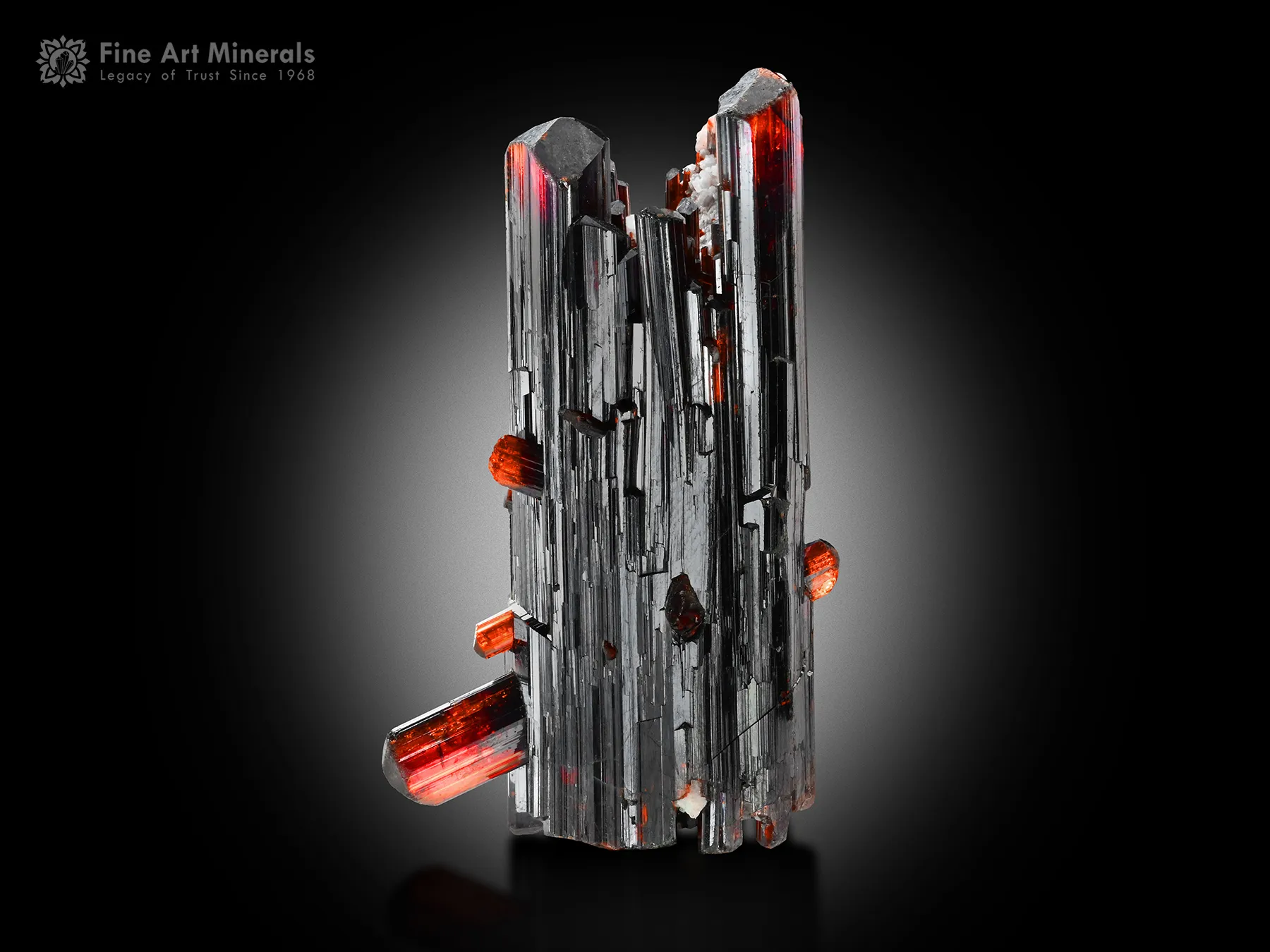 DT Rutile with Aegerine and Albite - image 1