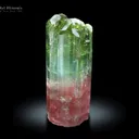 DT Tourmaline Crystal from Congo - image 1