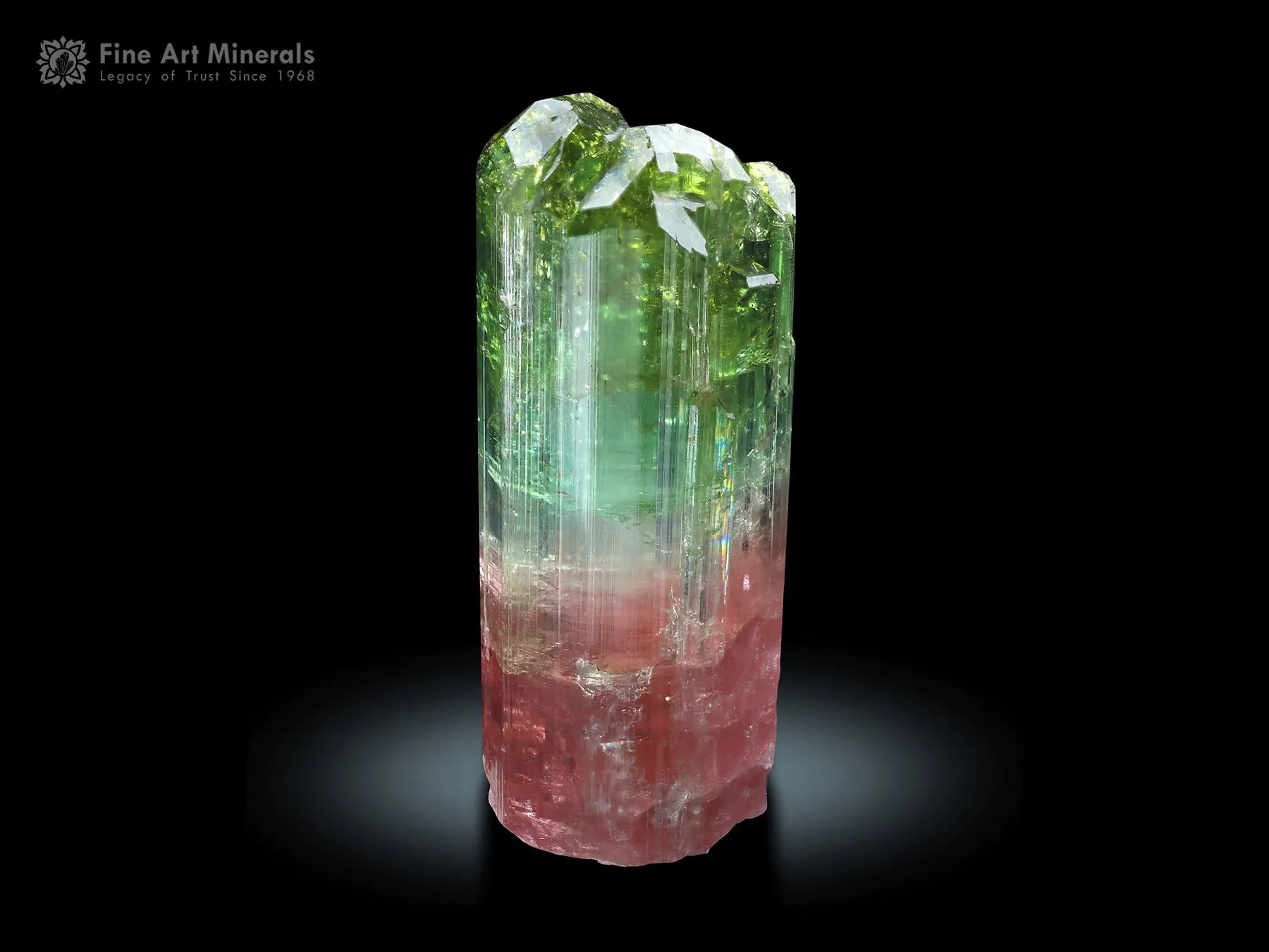 DT Tourmaline Crystal from Congo - image 1