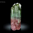 DT Tourmaline Crystal from Congo - image 2