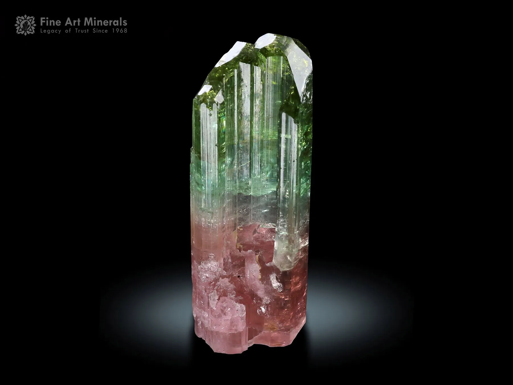 DT Tourmaline Crystal from Congo - image 2