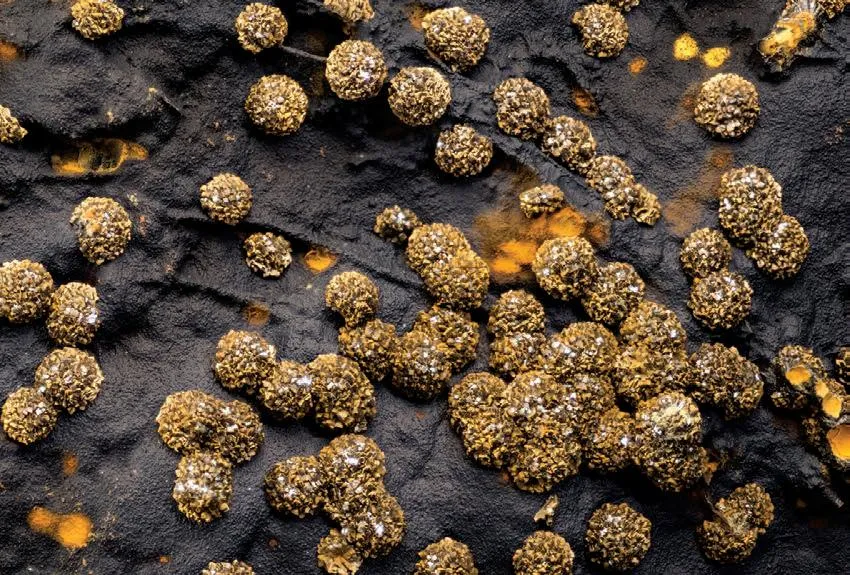 Dufrenite image