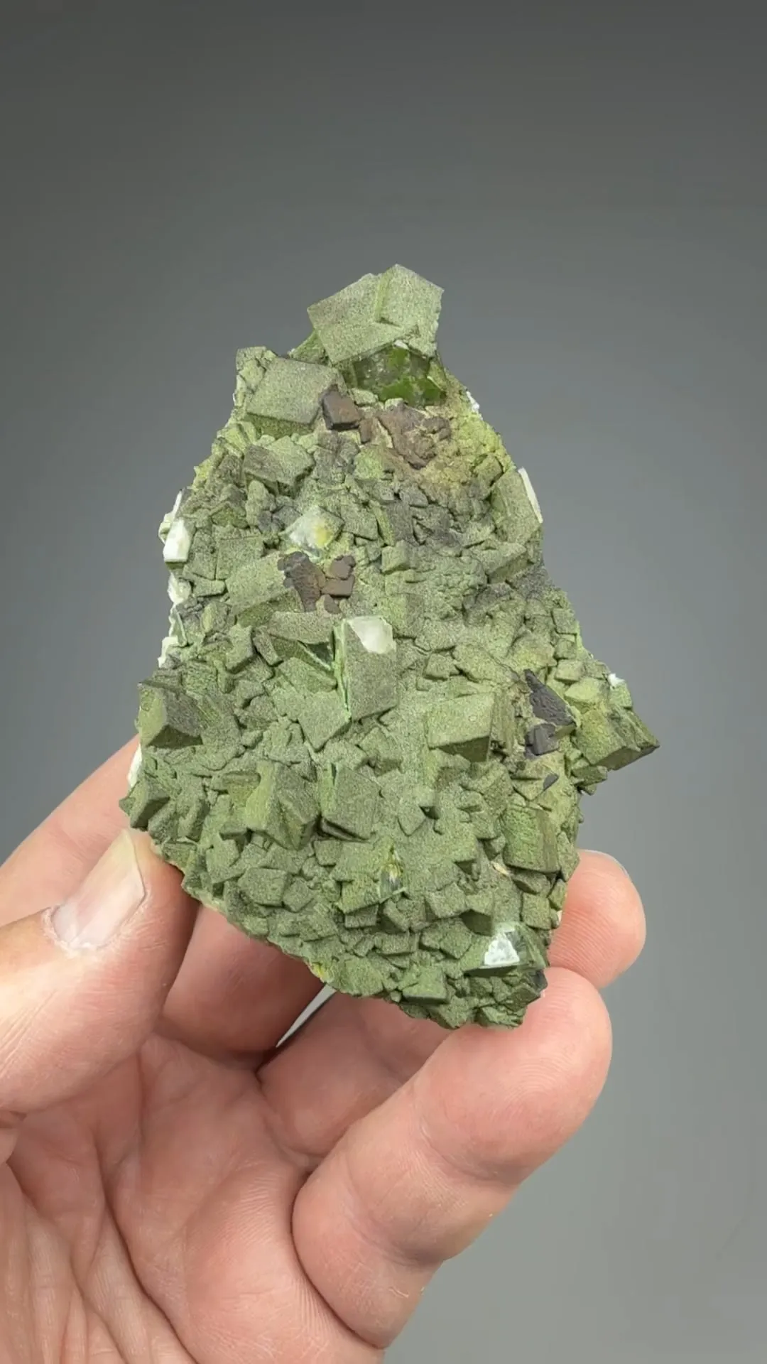 Duftite on Calcite - image 2