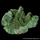 Duftite on Malachite ps. after Azurite - image 4