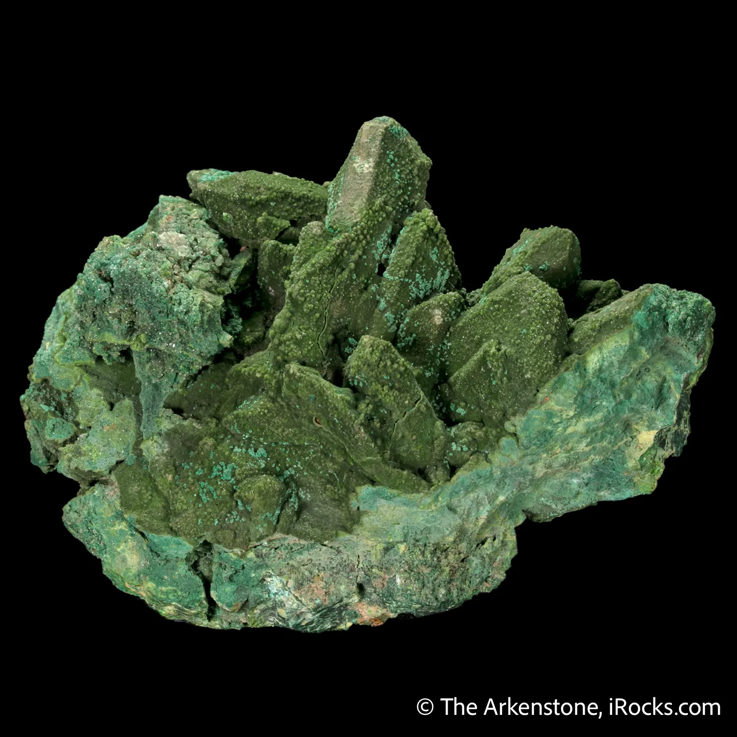 Duftite on Malachite ps. after Azurite - image 4