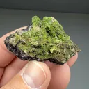 Duftite with Mimetite - image 2