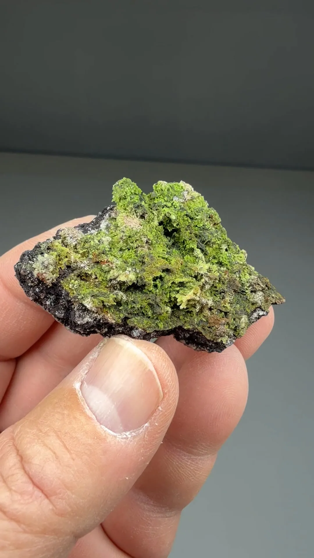 Duftite with Mimetite - image 2