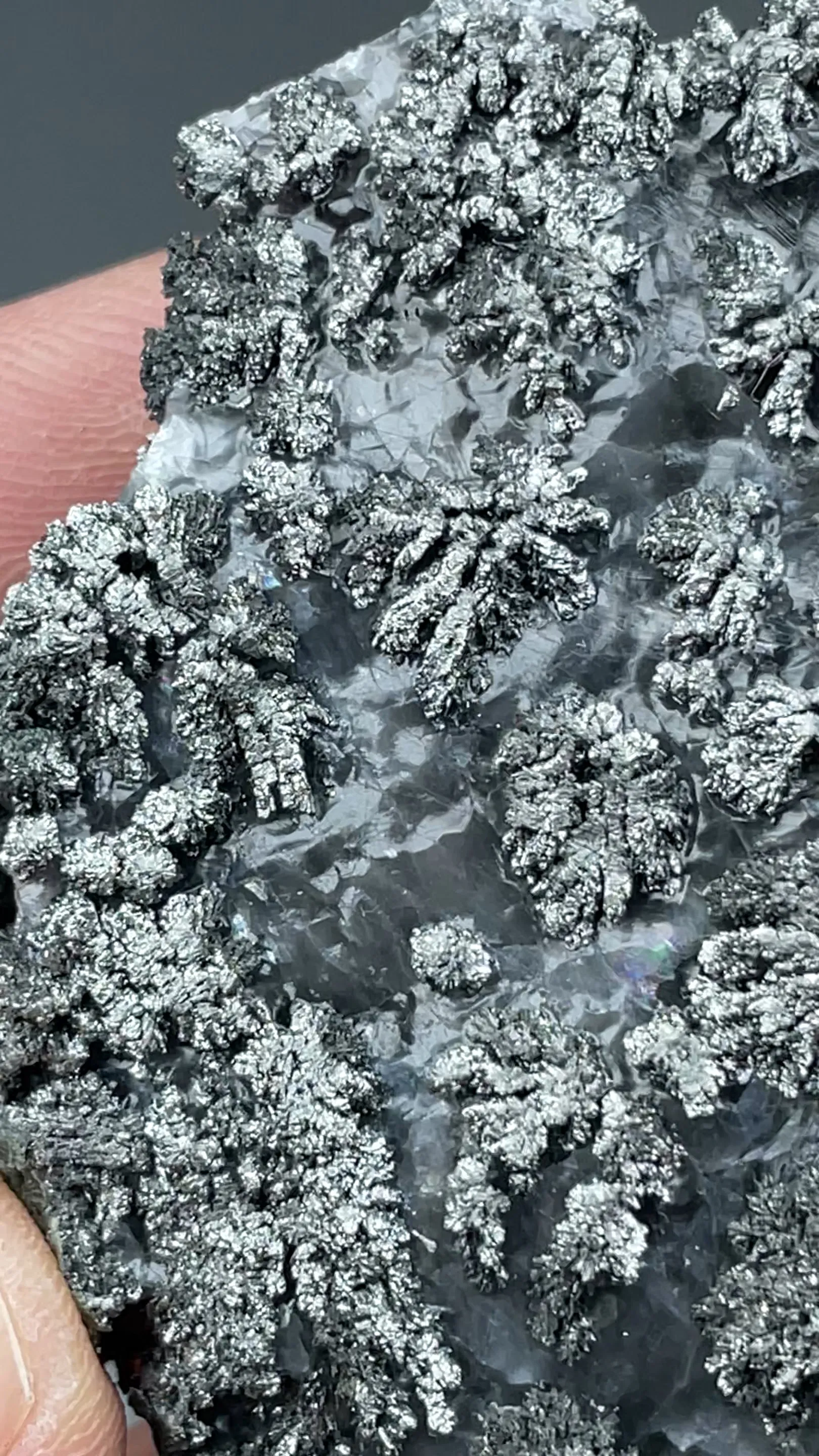 Dyscrasite - image 2