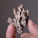 Dyscrasite - image 2