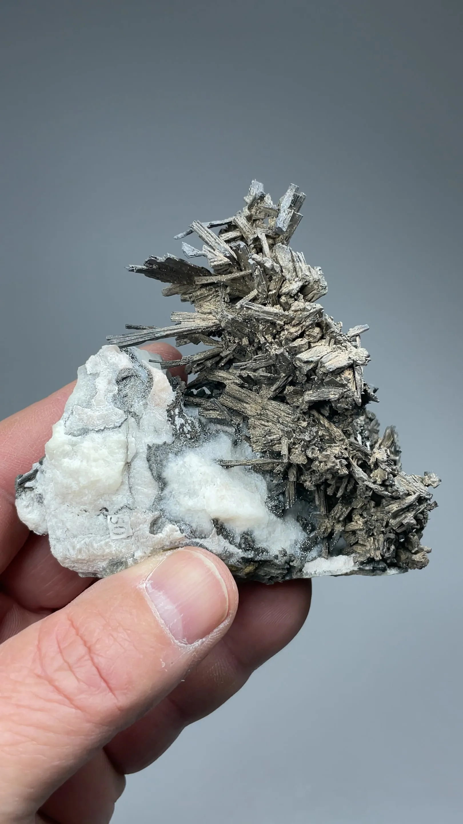 Dyscrasite - image 4