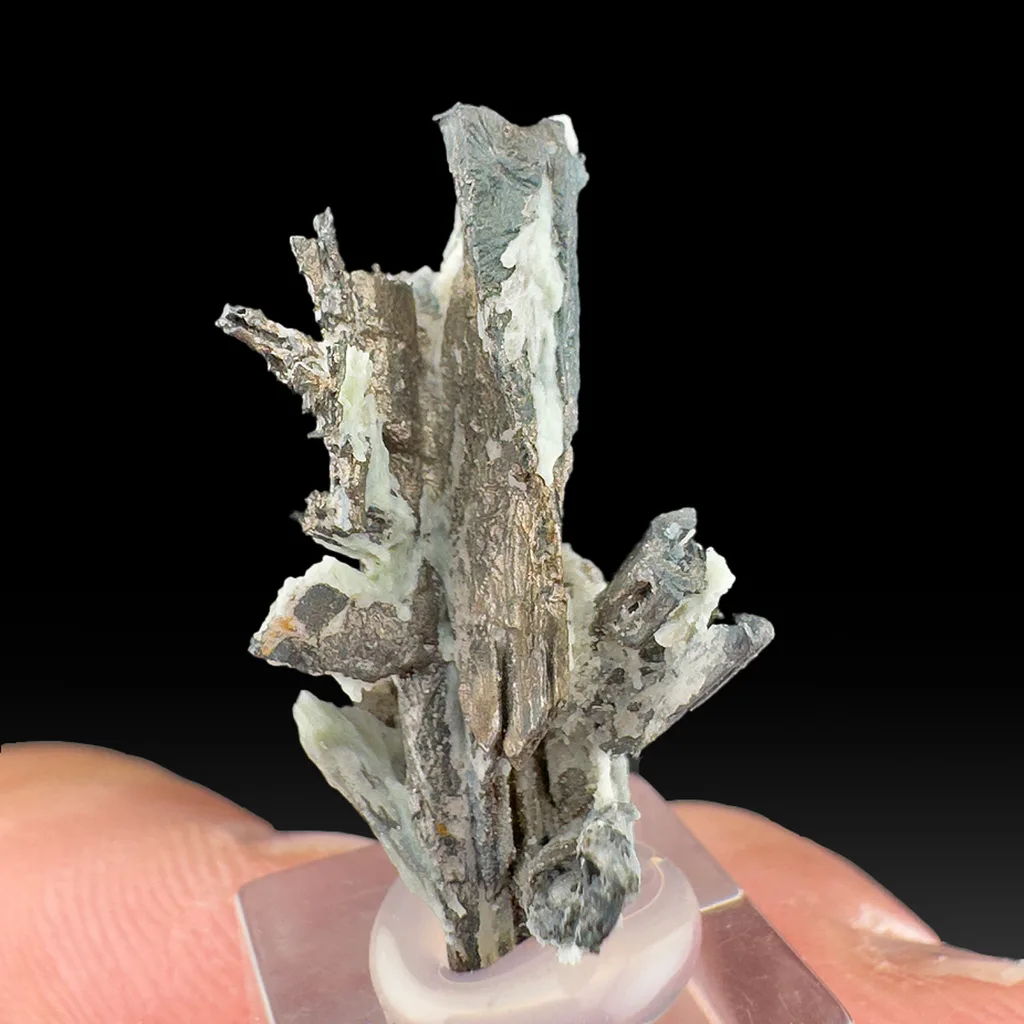 Dyscrasite image