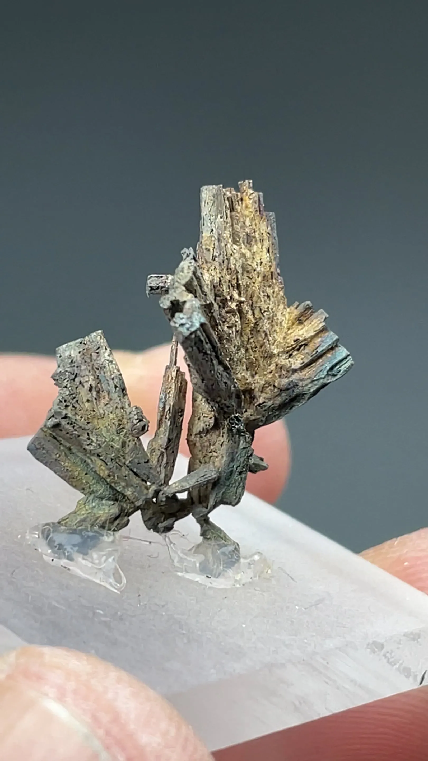 Dyscrasite - image 2