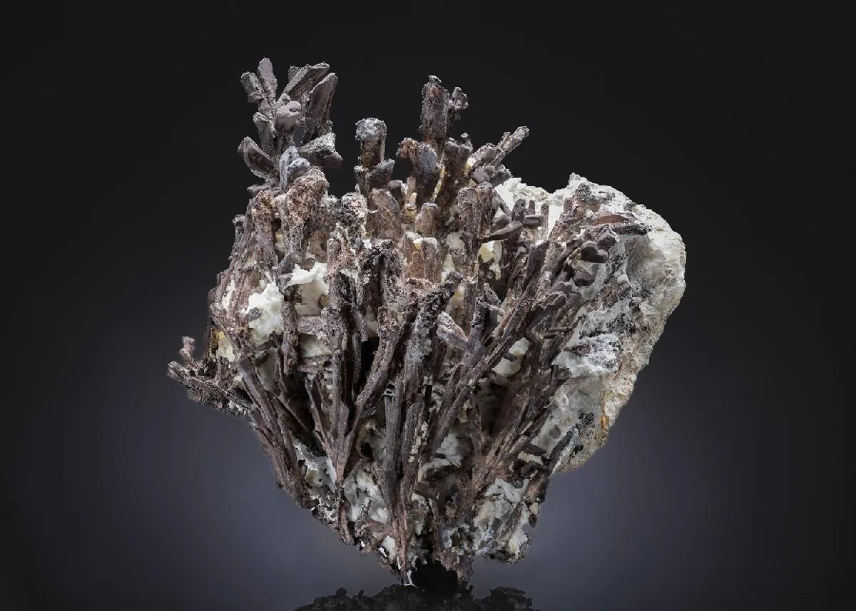 Dyscrasite in Calcite - image 1