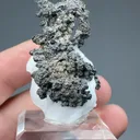Dyscrasite-Silver with Calcite - image 2