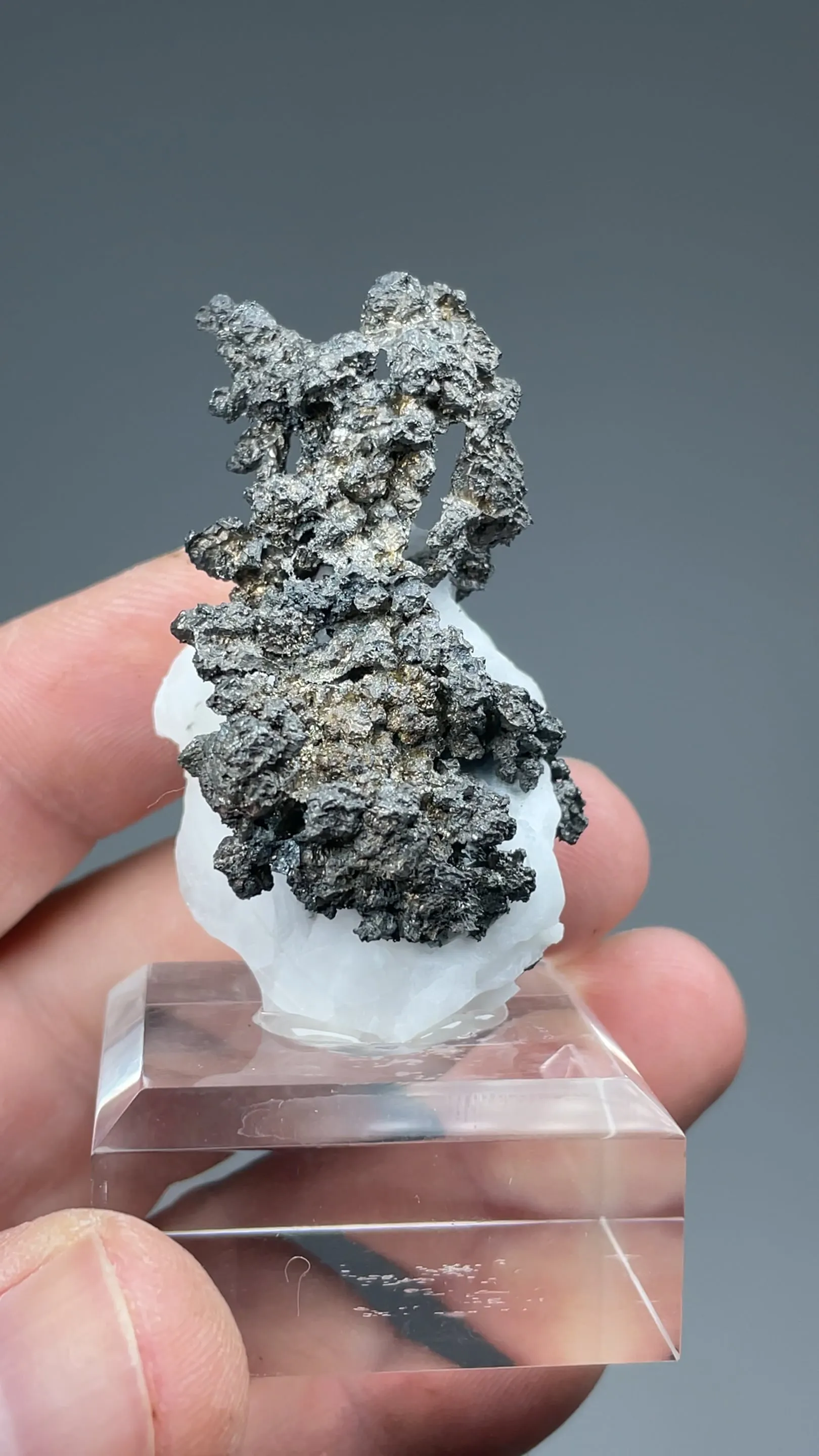 Dyscrasite-Silver with Calcite - image 2