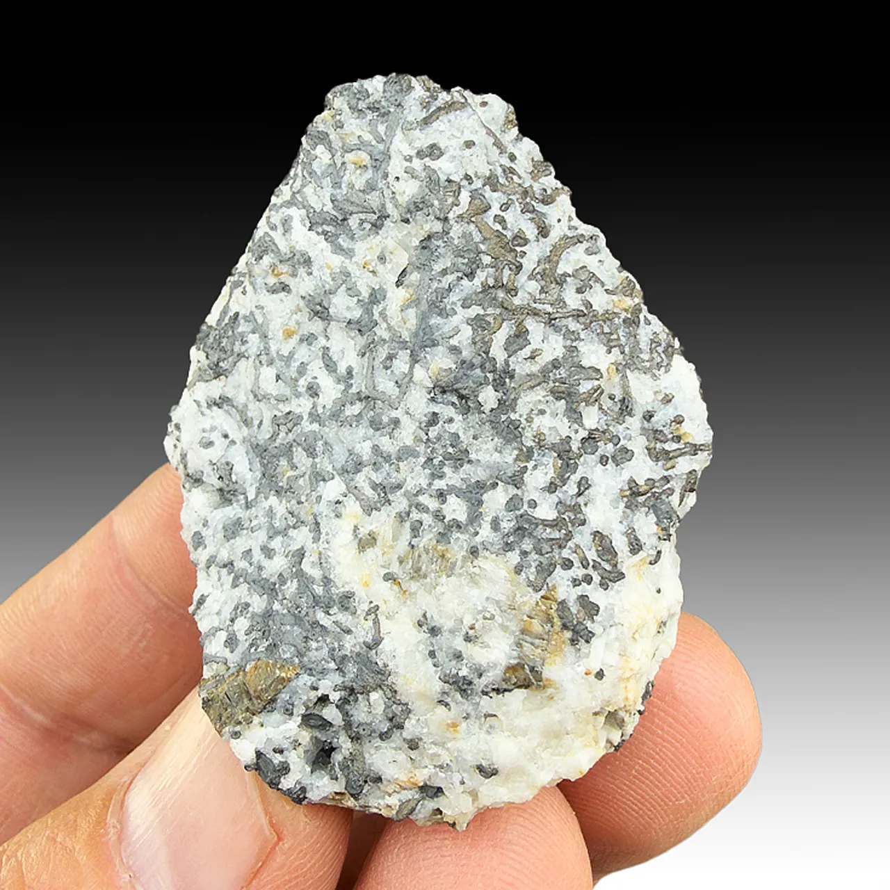 Dyscrasite with Calcite, Proustite - image 1