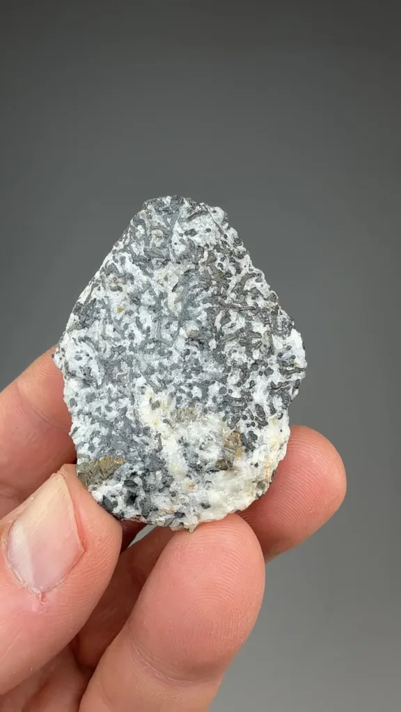 Dyscrasite with Calcite, Proustite - image 2