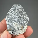 Dyscrasite with Calcite, Proustite - image 2