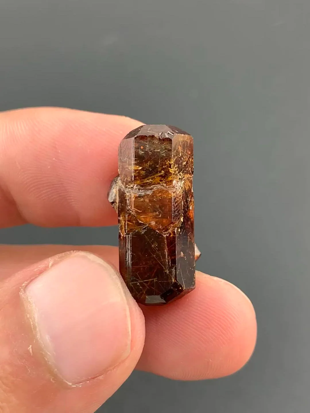 specimen video