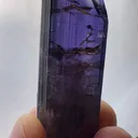 specimen video