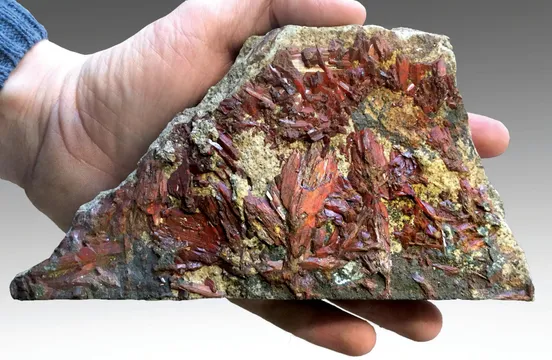 Beryozovsky, Russia Locality Guide
