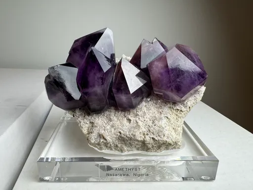 Dedication Minerals undefined
