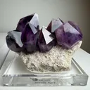 Dedication Minerals