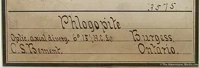 specimen
