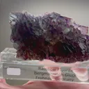 specimen video