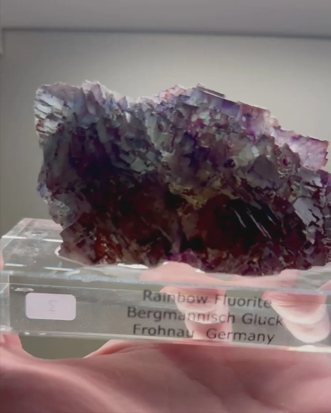specimen video