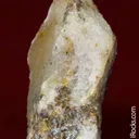 Eclarite (type locality) with Chalcopyrite on Quartz - image 4