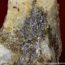 Eclarite (type locality) with Chalcopyrite on Quartz - image 2