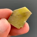 specimen video