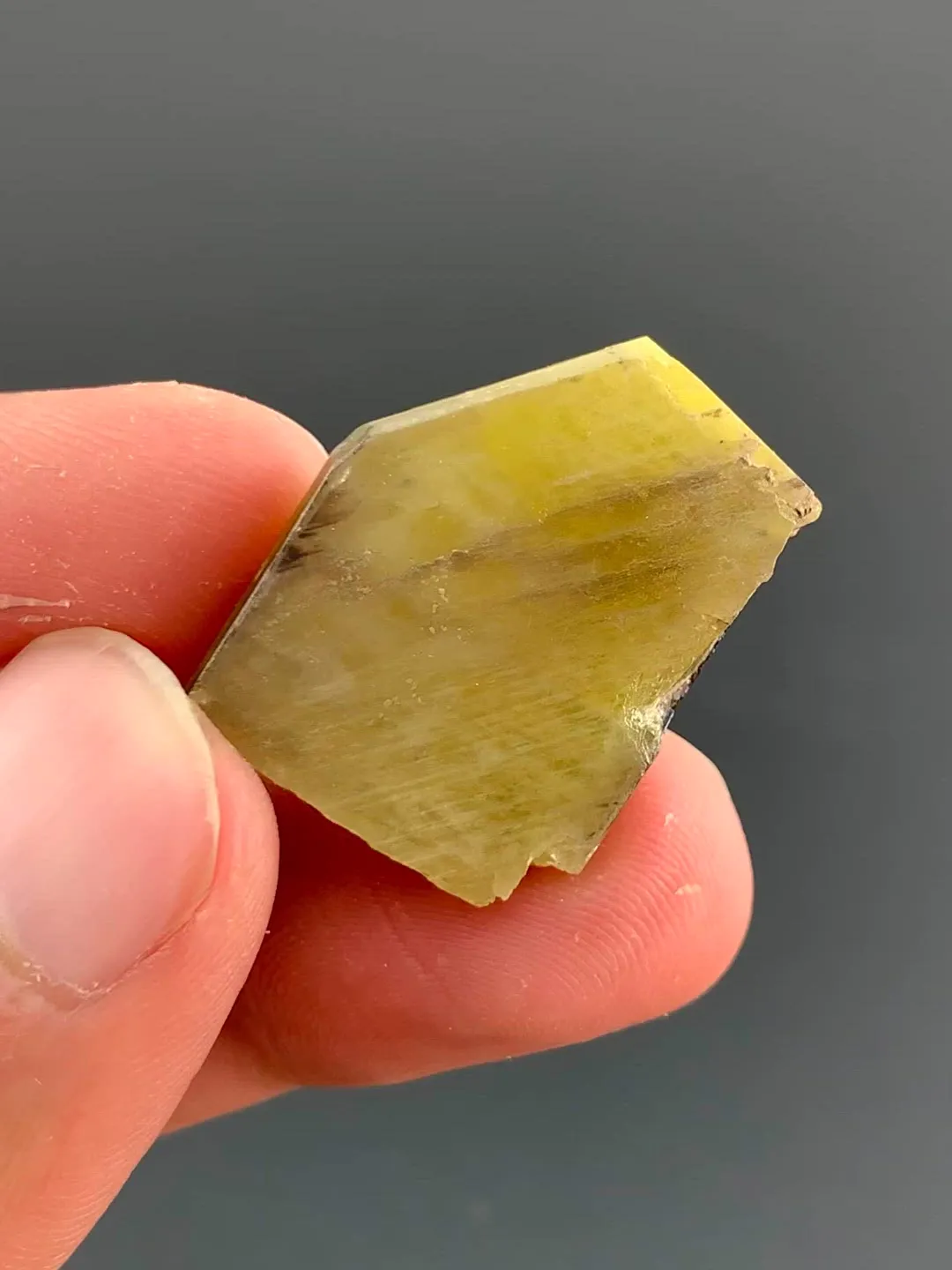 specimen video