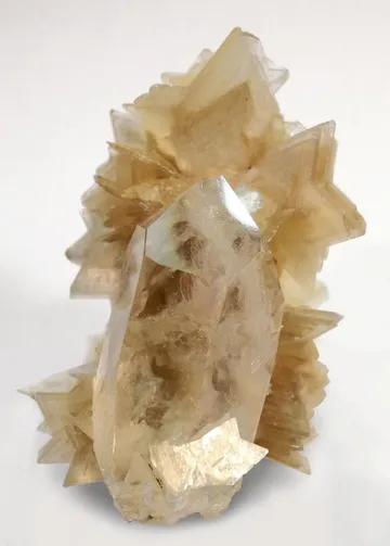 Muscovite