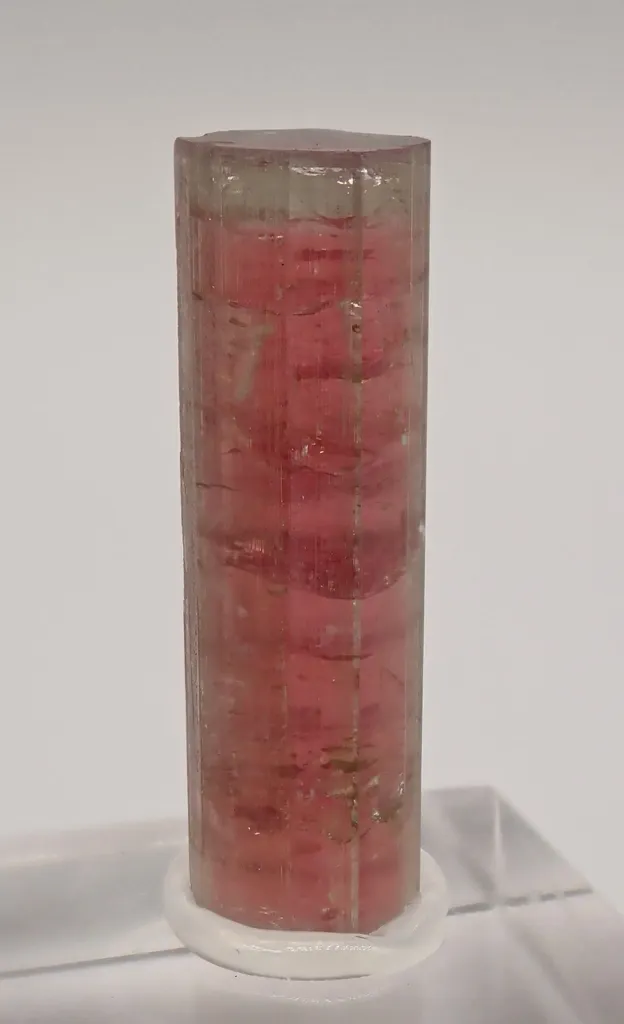 Elabaite variety Rubellite image